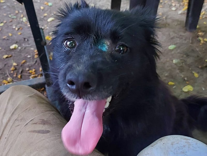 1 PHOTO 2021 06 25 12 57 040