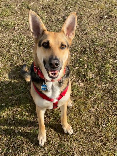 1 PHOTO 2021 03 26 16 32 41