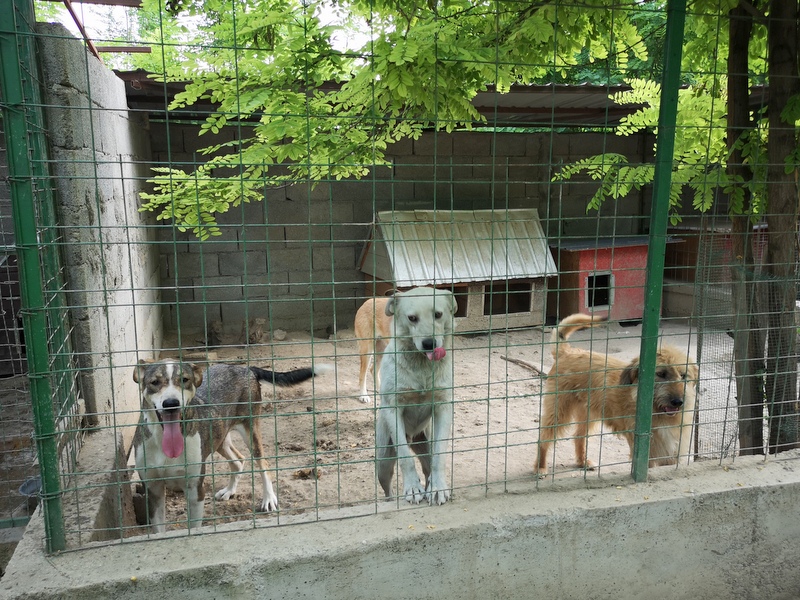 1 IMG 20210621 175228