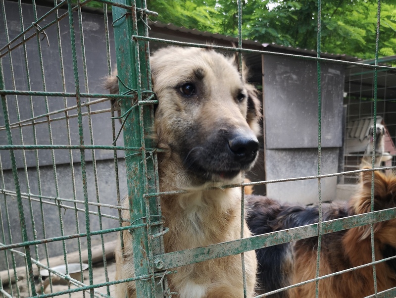 1 IMG 20210621 175310