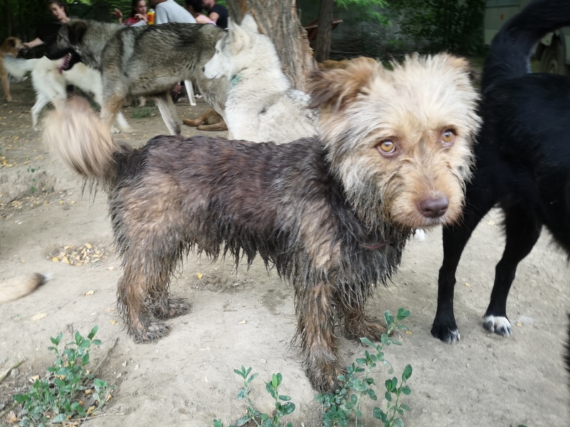 1 IMG 20210621 185141