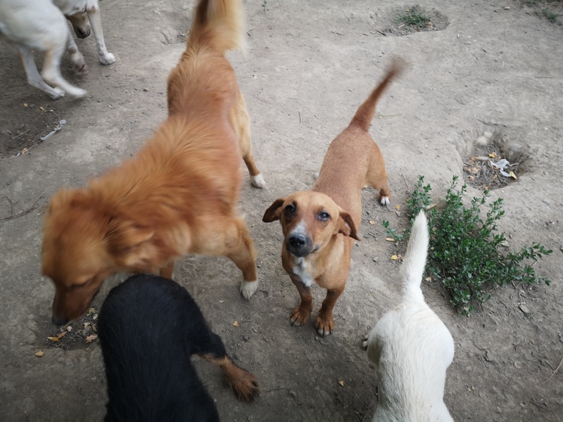 1 IMG 20210621 185153