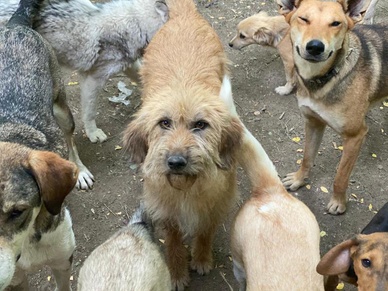 1 PHOTO 2021 06 29 11 32 21