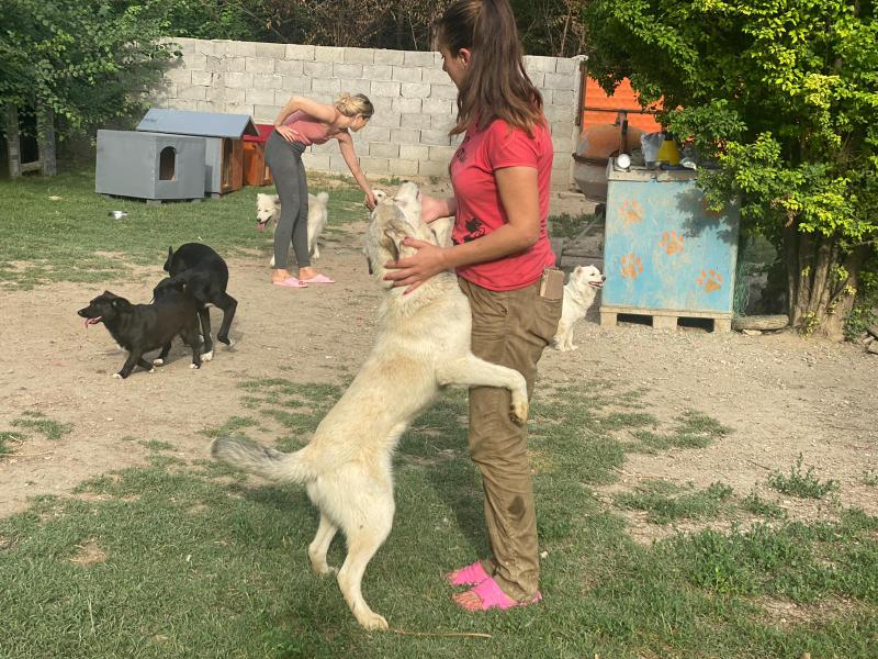 1 PHOTO 2021 06 29 11 32 59