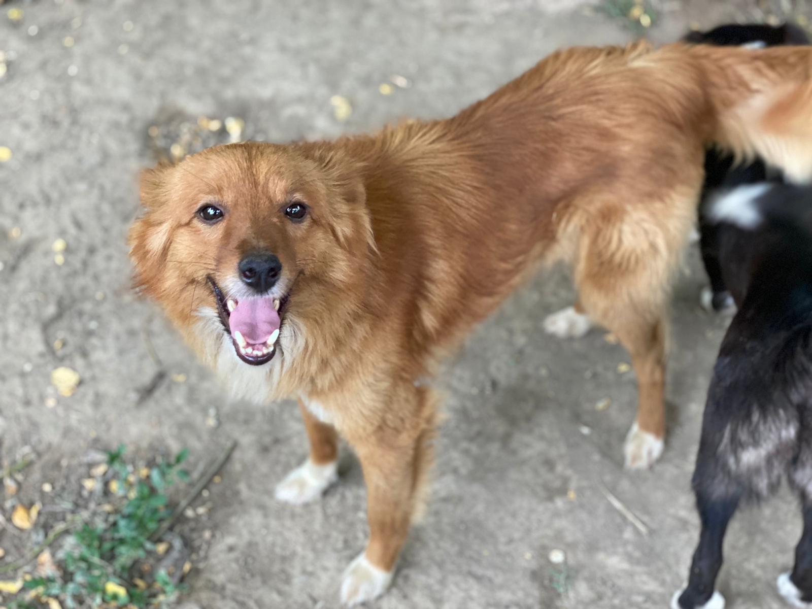 PHOTO 2021 06 29 11 38 22