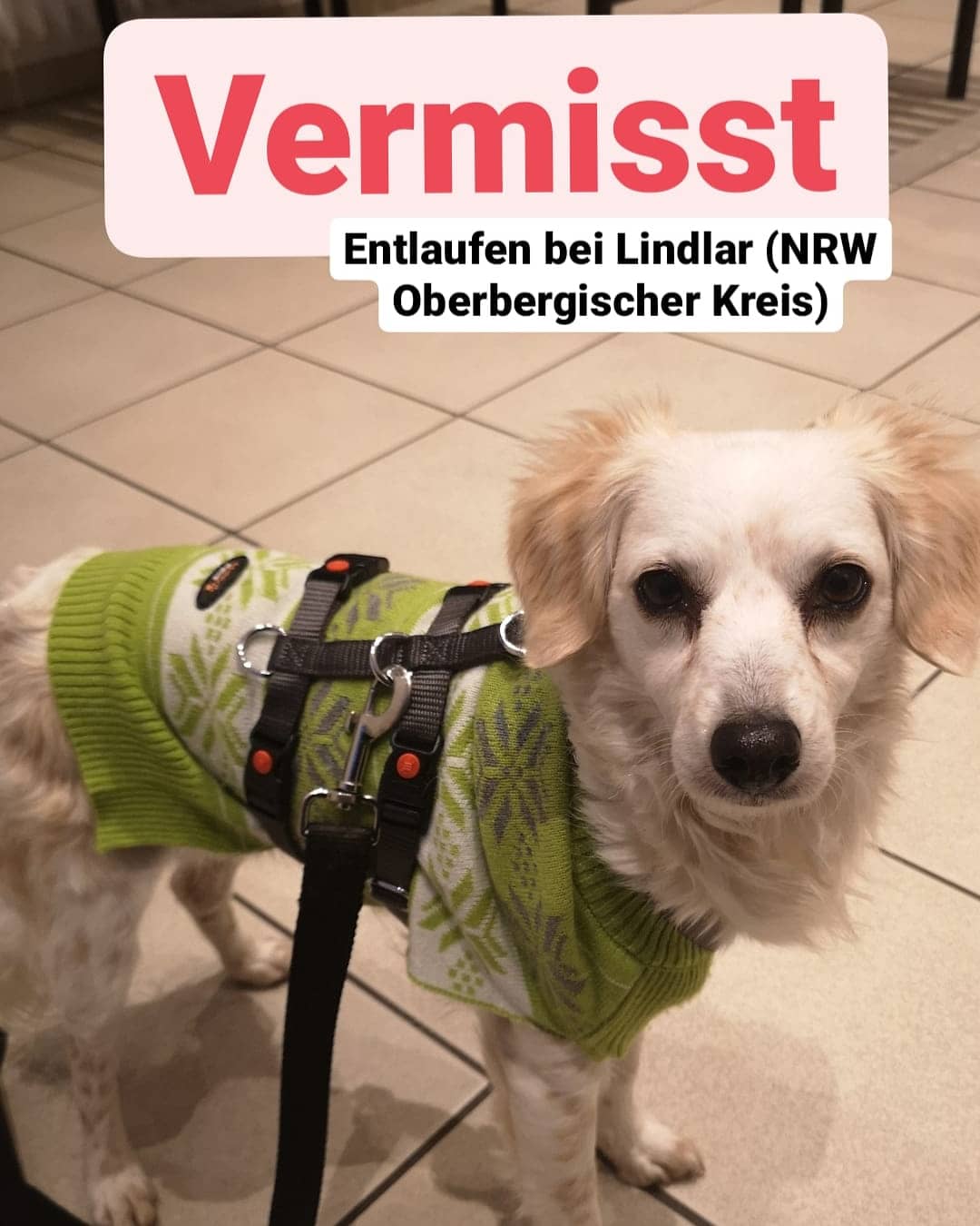 PHOTO 2021 02 15 10 58 25