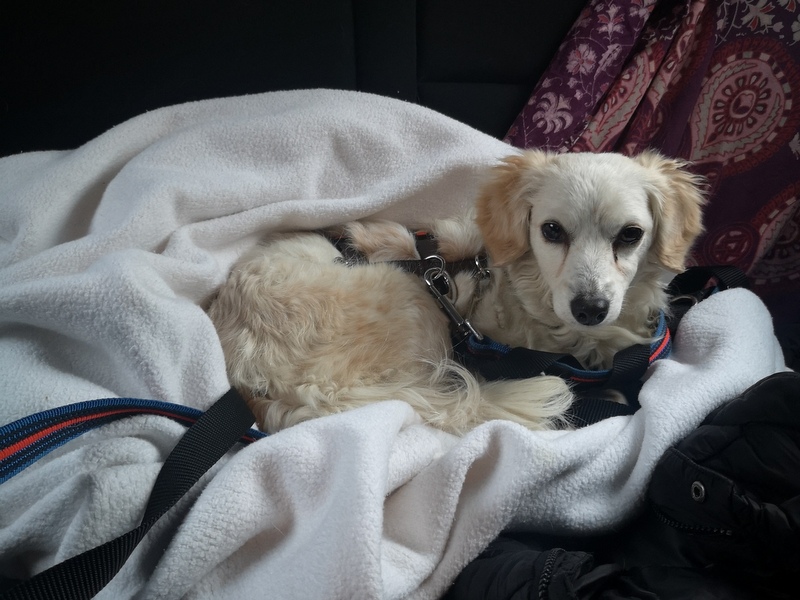 1 IMG 20210218 080626