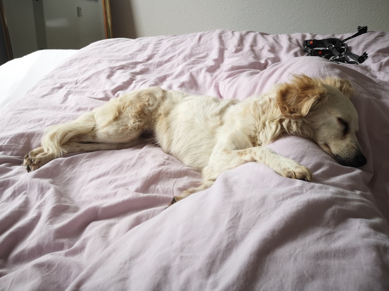 1 IMG 20210218 113139