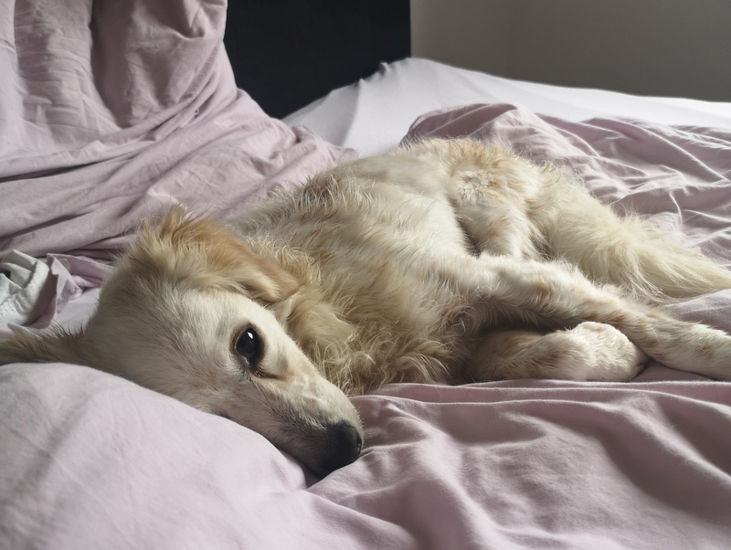 1 IMG 20210218 134949