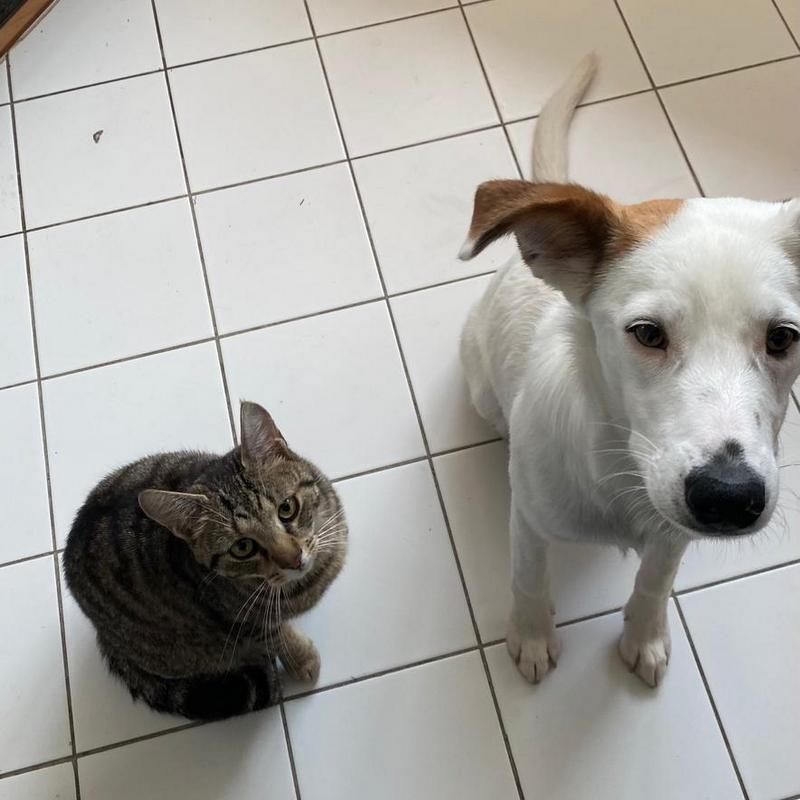 1 PHOTO 2021 06 08 23 07 45