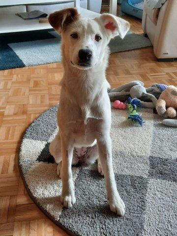 2caee793 fda5 4b4e 8ca6 025202627bf4