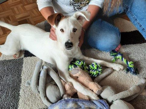 a6ec4225 7e6f 4a04 99fb 7d68da625021