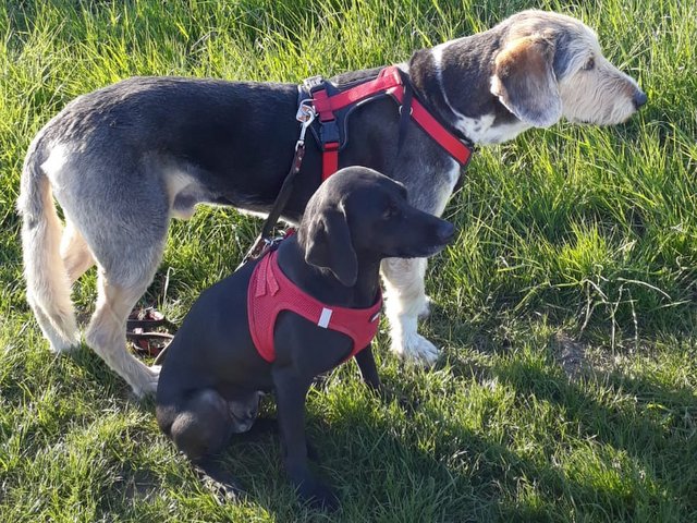 222f33a5 054e 442c 9979 ccda8e61d101