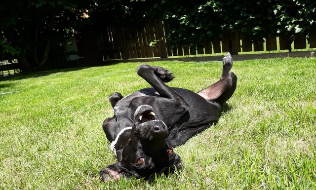 2be12ef6 0cad 48a4 97ef d0f478bb75c9