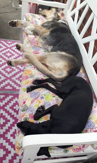 800f5f08 a686 4cf7 a192 c009a71cdb01