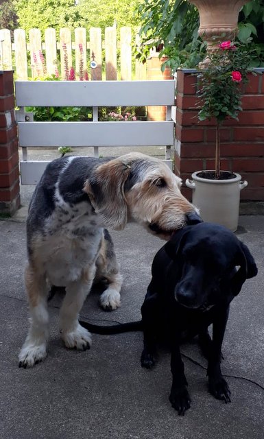 9d098285 7e37 4f19 b993 0c38f500652d 1