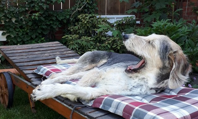 e52c9d0f ae47 4f6e 83be 98ba993e3a09