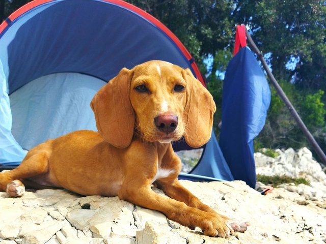 IMG 20210901 140007 min