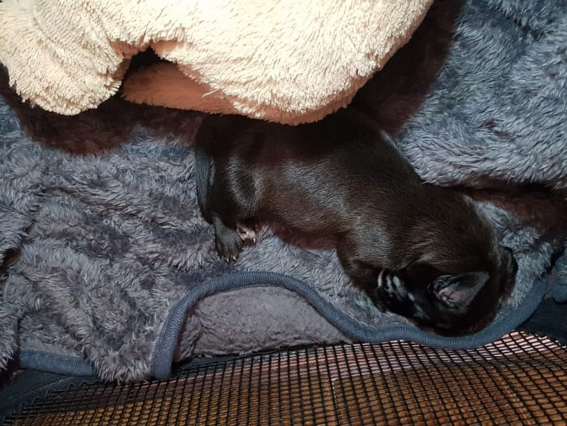 1 PHOTO 2021 03 13 14 42 37