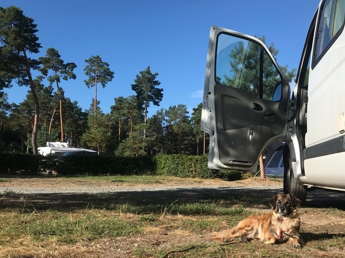 1 image 10 03 21 11 15 1