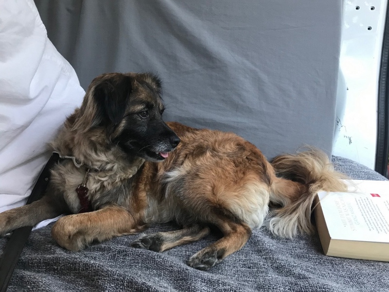 1 image 10 03 21 11 15 2