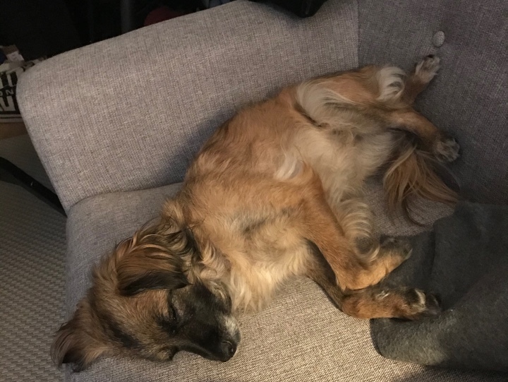 1 image 10 03 21 11 15 3