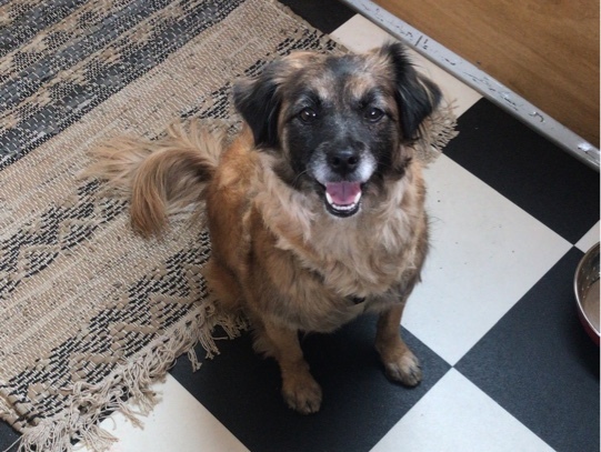 1 image 10 03 21 11 15 5