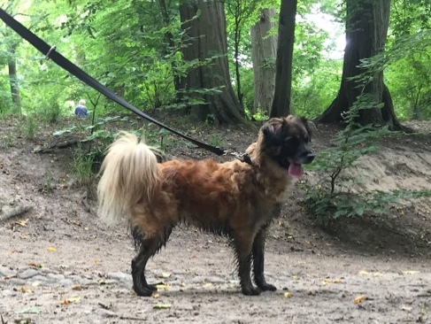 1 image 10 03 21 11 15