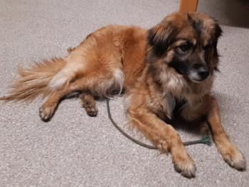 thumb z20200224 180451