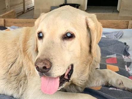 1 PHOTO 2021 04 19 19 43 013