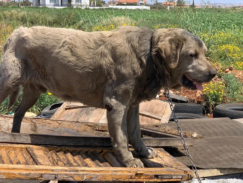 1 PHOTO 2021 04 19 20 19 52