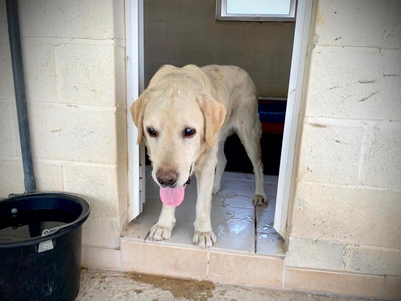 1 PHOTO1 2021 04 19 19 43 12