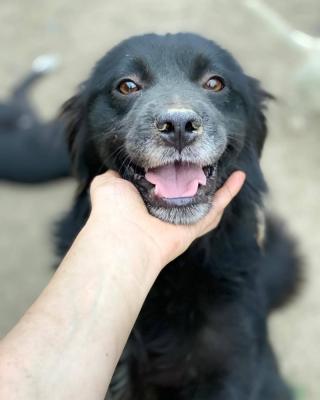 thumb IMG 20210623 005221 077