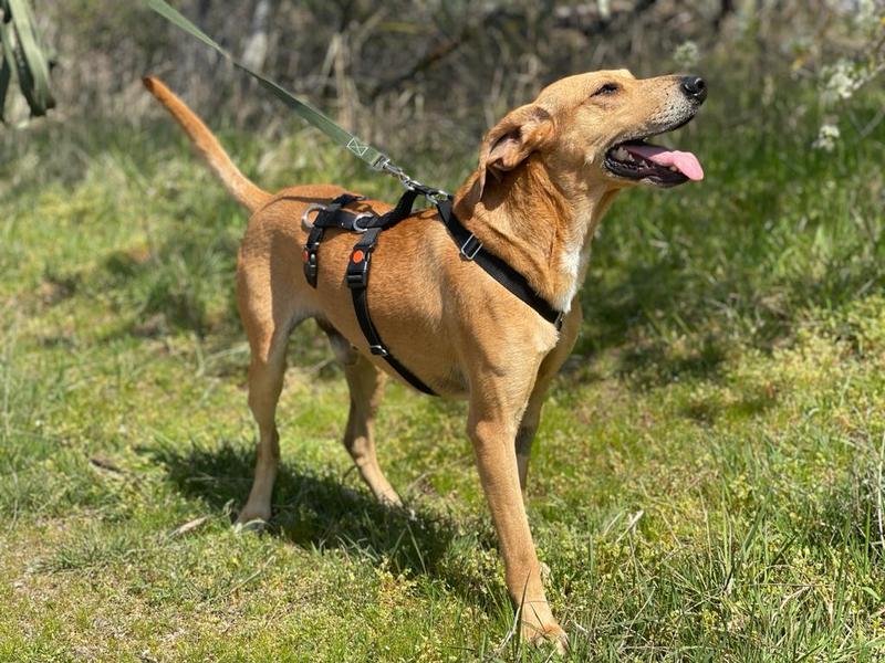 1 PHOTO 2021 04 24 17 23 29