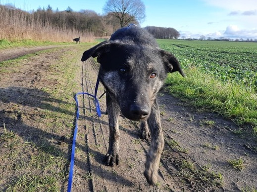 1 PHOTO 2021 01 25 14 42 049