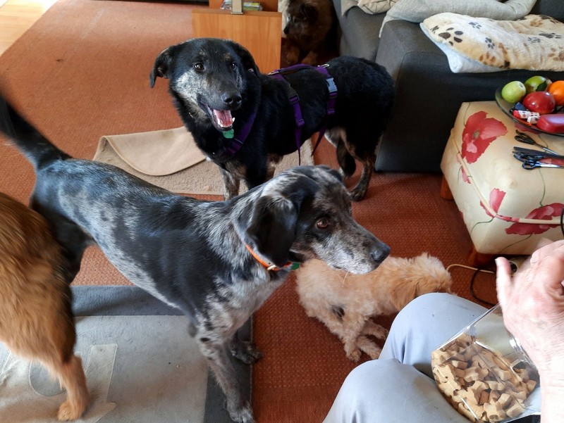 1 20210405 121516 Groß 1