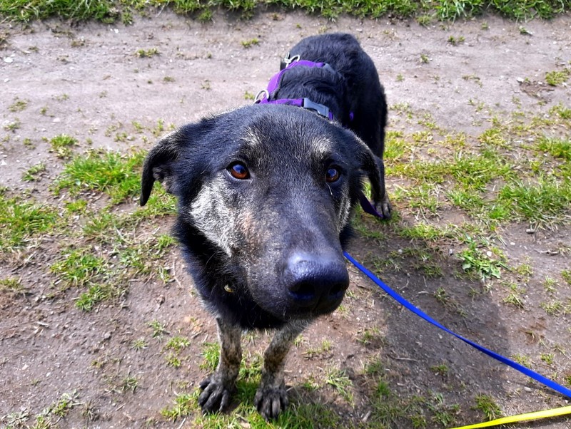 1 20210508 112357 Groß