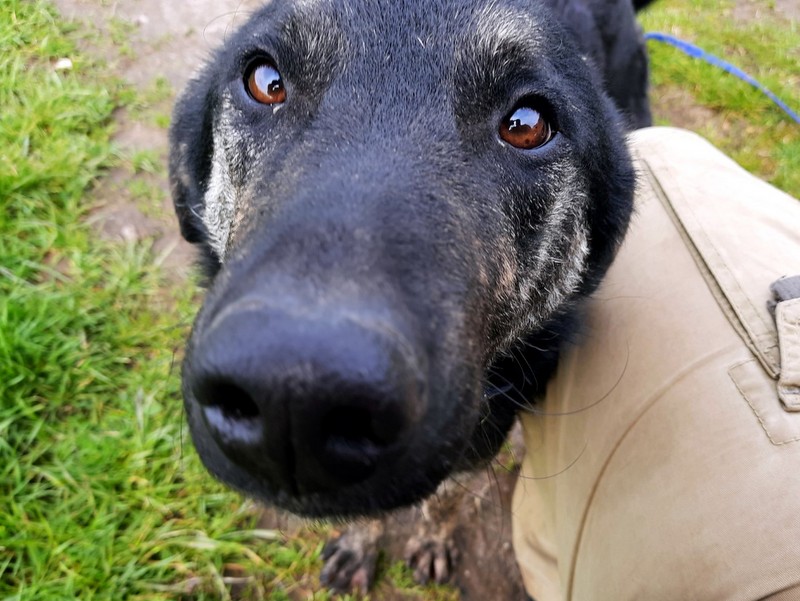 1 20210508 115451 Groß