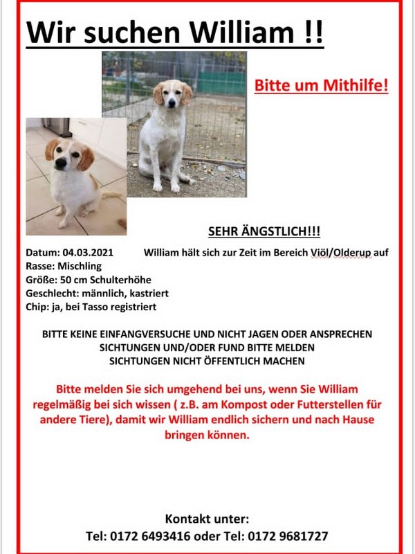 1 bild 2 PHOTO 2021 04 06 14 56 10