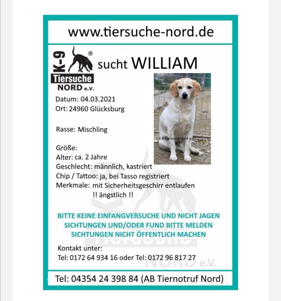 PHOTO 2021 03 06 13 02 02