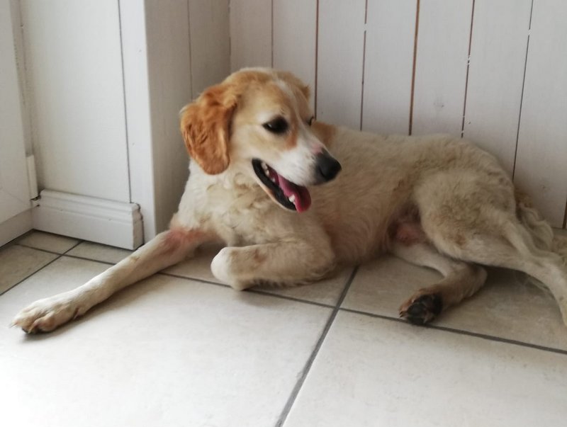 1 PHOTO 2021 04 08 13 57 55