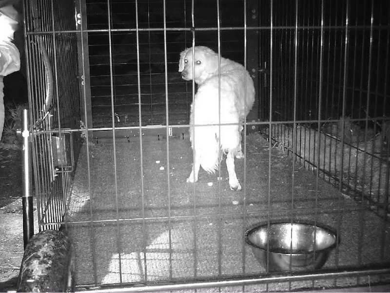 1 PHOTO 2021 04 07 23 18 30