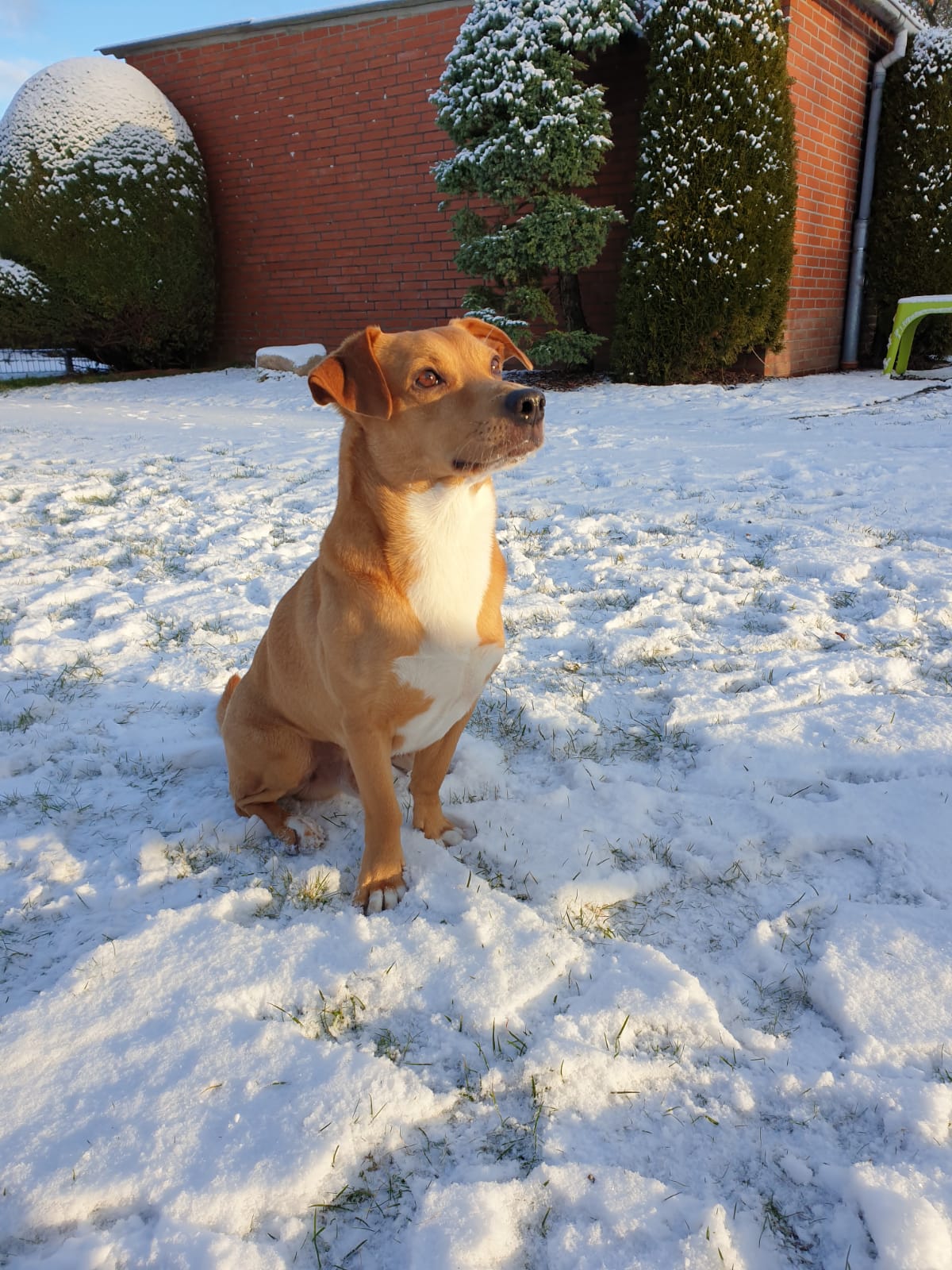 PHOTO 2021 02 09 08 06 59