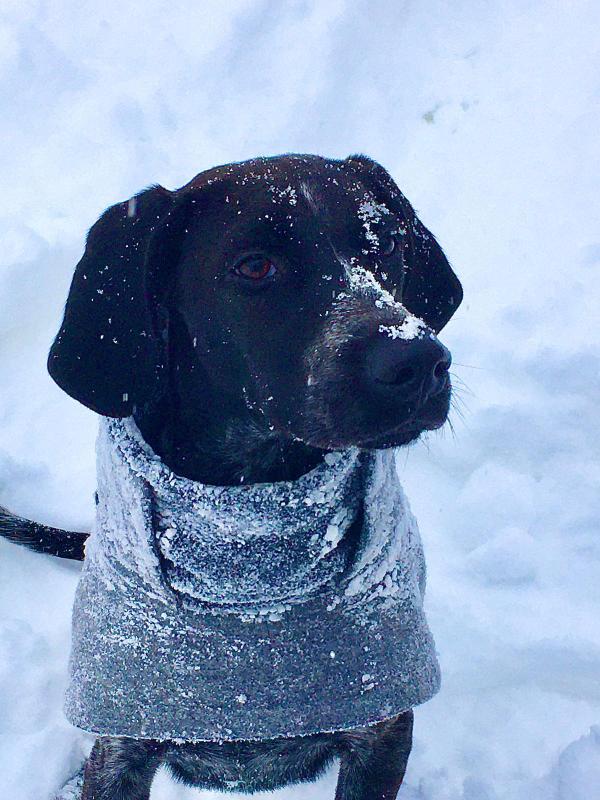 WhatsApp Image 2021 10 17 at 13.24.01 2