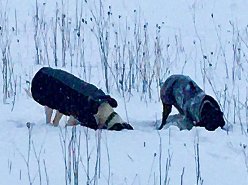 1 PHOTO 2021 02 07 22 02 56