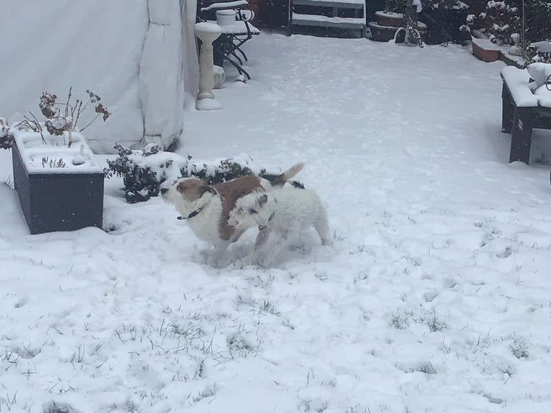 1 cid B6FA2F7B D06D 423A B094 92B44EF6F220