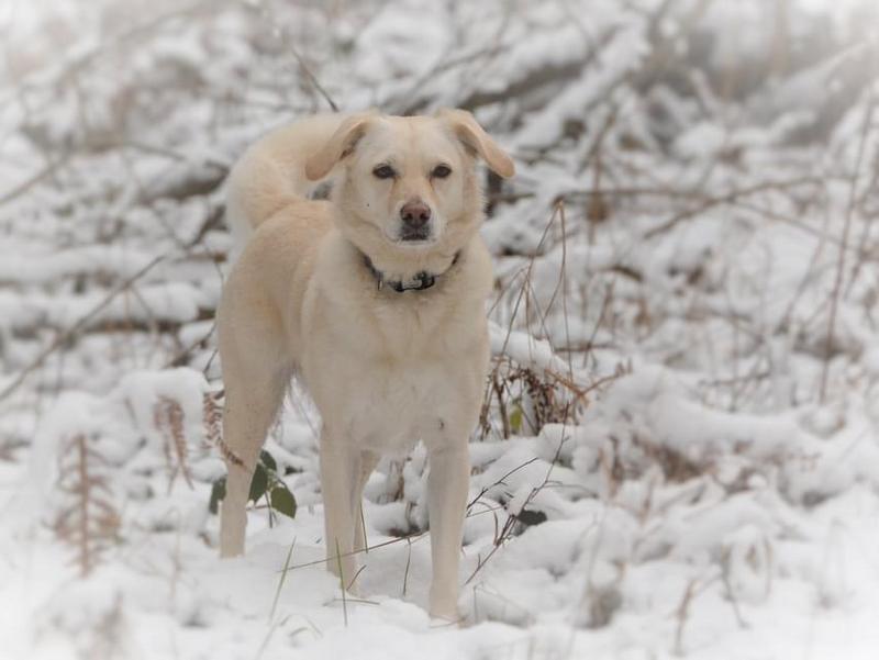 1 PHOTO 2021 02 13 14 01 20