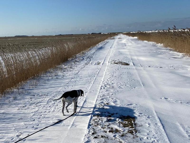 1 PHOTO 2021 02 10 15 28 13