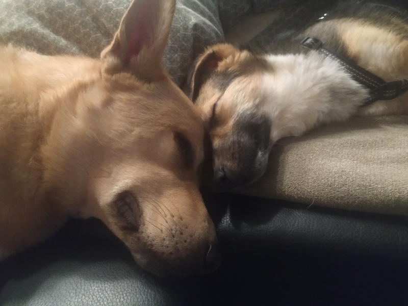 1 IMG 20210101 004140