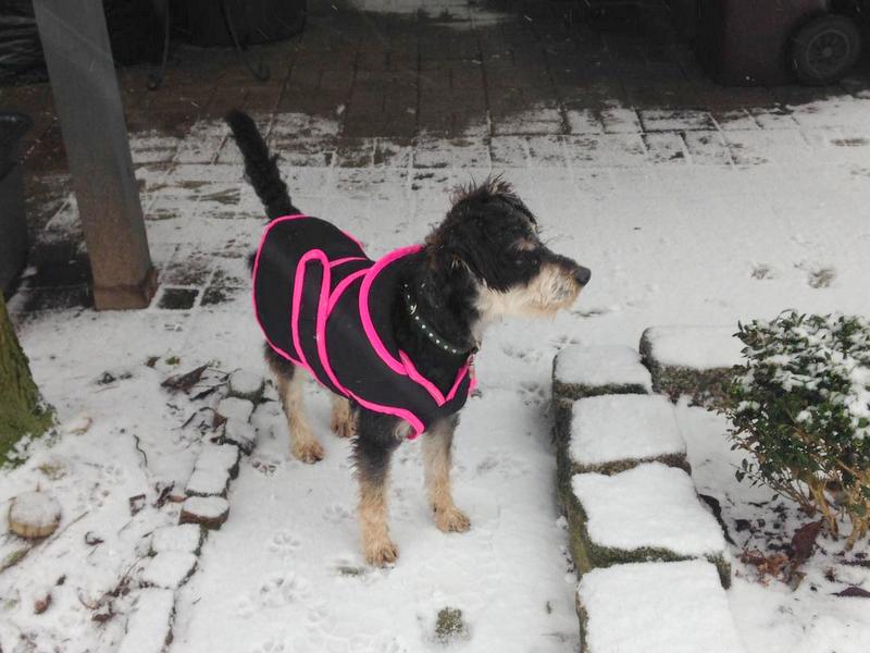 1 PHOTO 2021 02 07 09 30 42